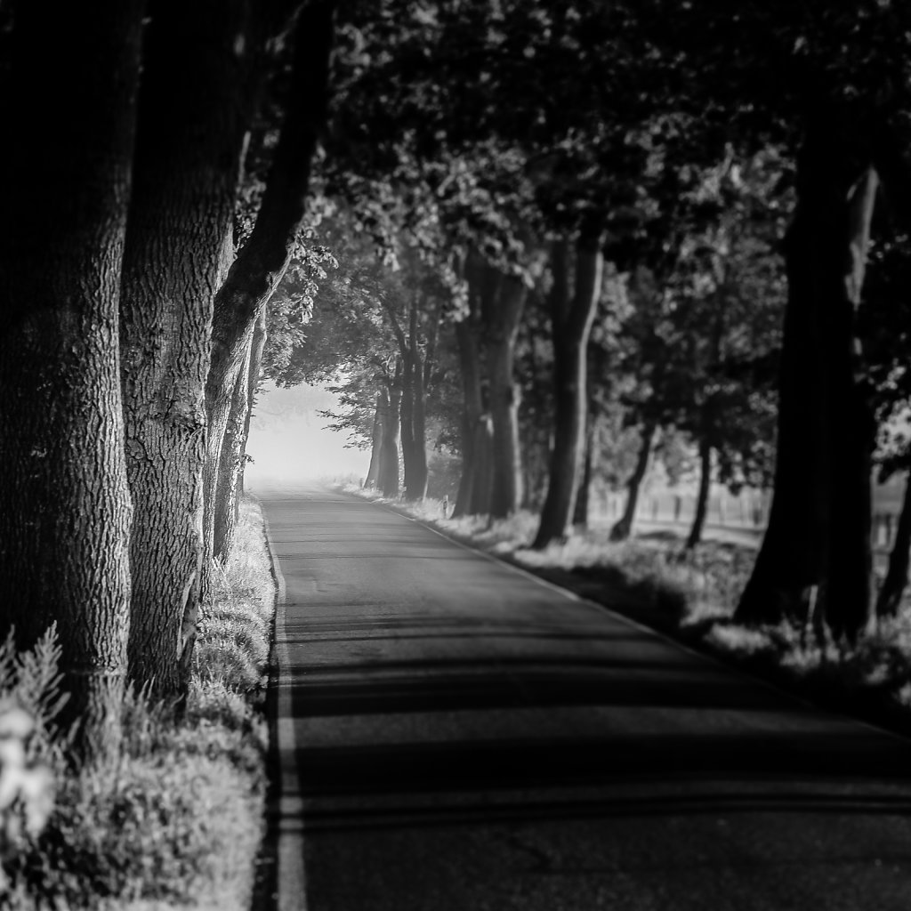 Road to nowhere