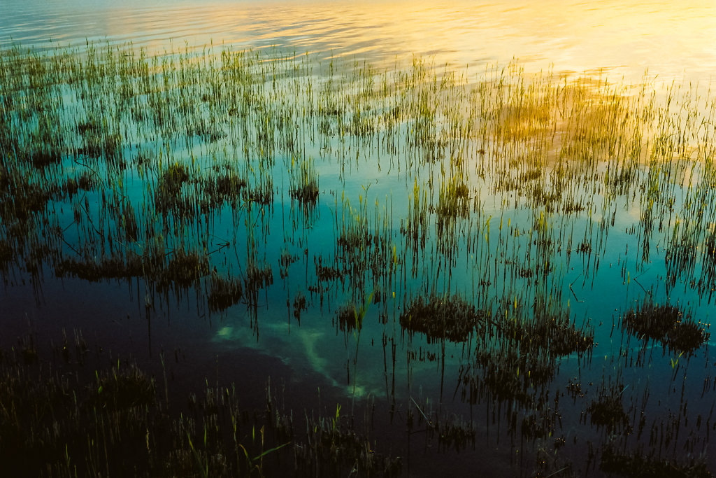 Abendlicht am Achterwasser