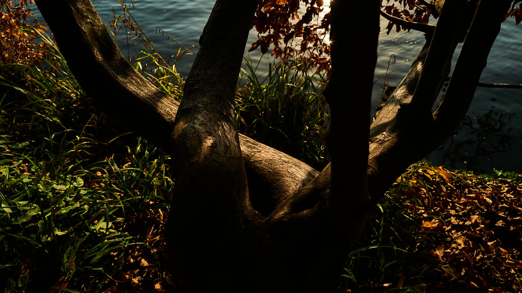 L1010312.jpg